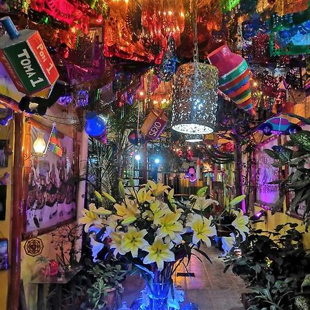 Hostal Oaxaca Magic Eksteriør billede