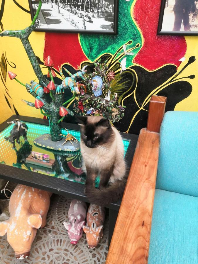 Hostal Oaxaca Magic Eksteriør billede