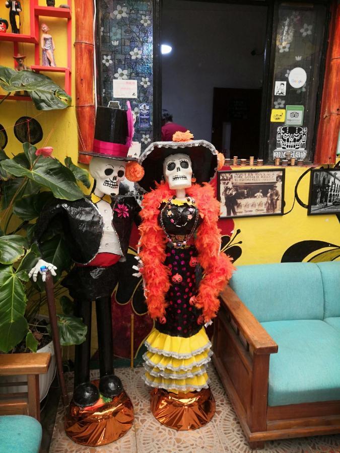 Hostal Oaxaca Magic Eksteriør billede